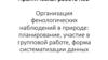 Организация фенологических наблюдений в природе: планирование, участие в групповой работе, форма систематизации данных