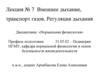 Внешнее дыхание, транспорт газов. Регуляция дыхания