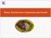 Клеточное строение растений