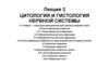 Цитология и гистология нервной системы. Лекция 2