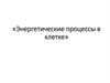Энергетические процессы в клетке. Метаболизм