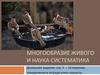 Многообразие живого и наука систематика