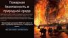 Пожарная безопасность в природной среде. Введение