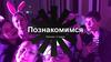Максимка. Познакомимся