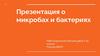 О микробах и бактериях