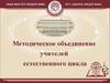 Методическое объединение учителей естественного цикла