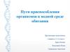 Пути приспособления организмов к водной среде обитания
