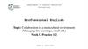 Professional English. Collaboration in a multicultural environment. Managing first meetings, small talk