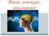 Воля, эмоции, внимание