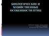 Биологические и хозяйственные особенности птиц