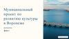 Муниципальный проект по развитию культуры в Воронеже