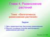 Глава 4. Размножение растений. Вегетативное размножение растений