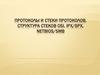 Протоколы и стеки протоколов. Структура стеков OSI, IPX/SPX, NETBIOS/SMB