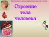 Строение тела человека