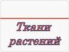 Ткани растений, их строение и виды