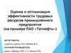 Оценка и оптимизация эффективности трудовых ресурсов промышленного предприятия (на примере ПАО «Татнефть»)