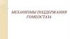 Механизмы поддержания гомеостаза