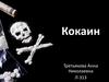 Кокаин - алкалоид, выделяемый из содержащих 1% кокаина листьев
