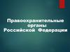Правоохранительные органы Российской Федерации