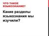 Что такое языкознание? Какие разделы языкознания мы изучили?