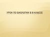 Кожа – наружный покровный орган. Урок по биологии в 8 классе