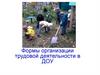Формы организации трудовой деятельности в ДОУ