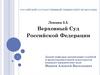 Верховный Суд Российской Федерации. Лекция 3.3