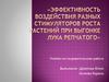 Эффективность воздействия разных стимуляторов ростка растений при выгонке лука репчатого