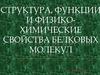 Структура, функции и физикохимические свойства белковых молекул