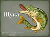 Щука - хищная рыба