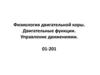 Физиология двигательной коры. Двигательные функции. Управление движениями