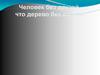 Дружба - это ... Человек без друзей, что дерево без корней