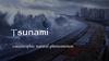 Sunami. Catastrophic natural phenomenon