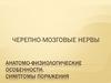 Черепно-мозговые нервы. Анатомо-физиологические особенности. Симптомы поражения