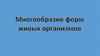 Многообразие форм живых организмов
