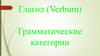 Глагол (Verbum).  Грамматические категории