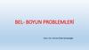 Bel-boyun problemleri̇