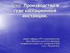 Производство в суде кассационной инстанции