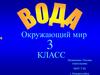 Своя игра "Вода". Окружающий мир. 3 класс