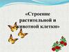 Строение растительной и животной клетки