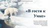 В гости к Умке