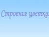 Строение цветка