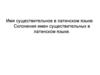 Имя существительное в латинском языке. Склонения имен существительных в латинском языке