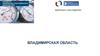 Владимирская область. Ключевые показатели индекса административного давления
