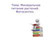 Минеральное питание растений. Фотосинтез
