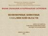 Позвоночные животные Сахалинской области