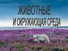 Животные и окружающая среда