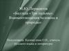 М.Ю. Лермонтов. Баллада «Три пальмы». Взаимоотношения человека и природы
