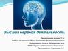 Высшая нервная деятельность
