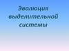 Эволюция выделительной системы у животных